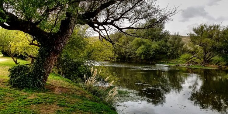 Recurso indispensable: Se está llevando adelante una encuesta enfocada en el agua de la comarca.