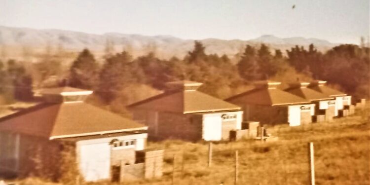 Casitas chinas: Un sueño familiar que se esfumó en un accidente de tránsito