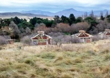 Siguen las usurpaciones: ahora le tocó a las cabañas chinas del Provincial