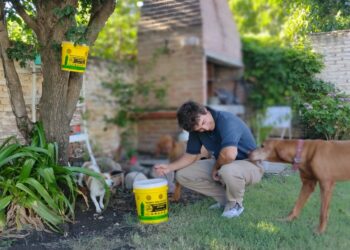 Un innovador sistema está poniendo fin a las moscas en la comarca