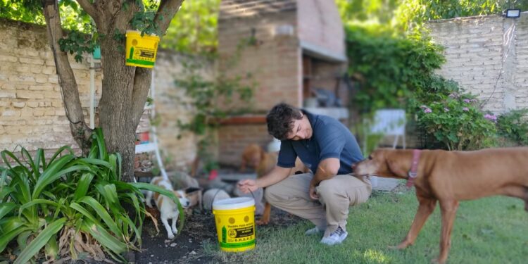 Un innovador sistema está poniendo fin a las moscas en la comarca