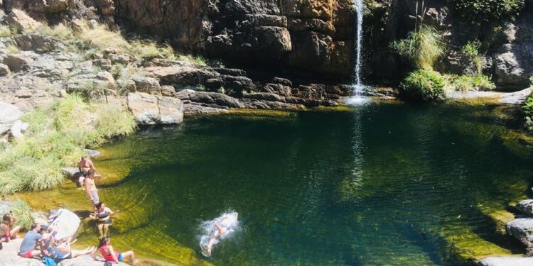 “Tuvimos un 51% de ocupación en la primera quincena de enero”