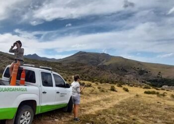 El distrito de Tornquist se encuentra bajo condición de riesgo de incendio Extremo