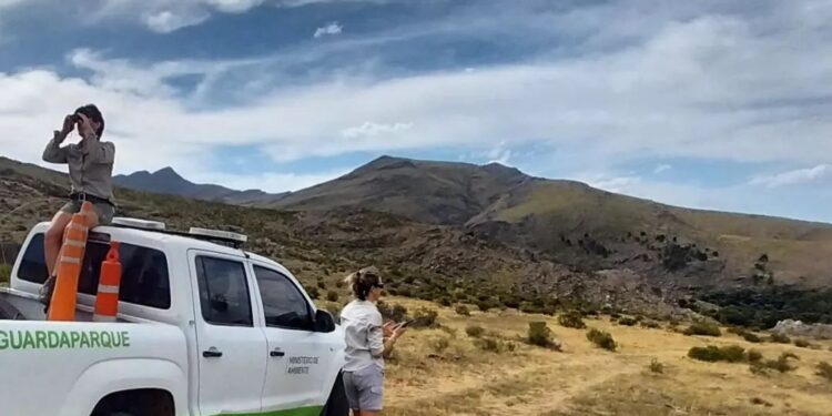 El distrito de Tornquist se encuentra bajo condición de riesgo de incendio Extremo