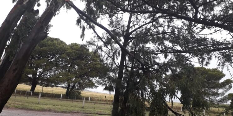 Permanecerá cerrado el Parque Lineal preventivamente