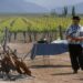 Mendoza fue distinguida como la nueva Capital Iberoamericana de la Armonía Gastronómica