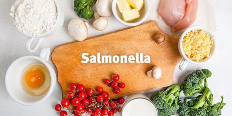 Senasa lanzó pautas para la prevención y el cuidado de la salud frente a la salmonelosis