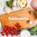 Senasa lanzó pautas para la prevención y el cuidado de la salud frente a la salmonelosis