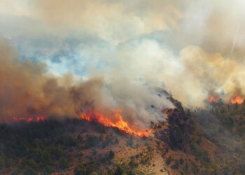 Un incendio de bosques se extiende en el Parque Nacional Los Alerces