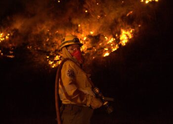 Incendio contenido y sin actividad: Mensaje de Bordoni