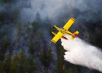 Incendio en El Abra: Llega avión hidrante y mas dotaciones de la región.