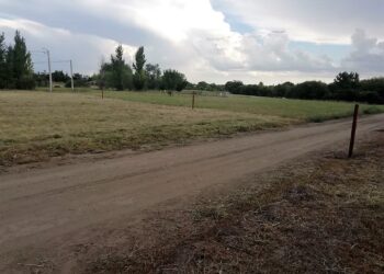 Siguen los problemas en Cerro Ceferino: “alambraron todo y pusieron carteles de inmobiliarias”