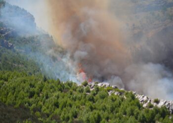 Fuego imparable: Solicitan medios aéreos por el incendio en las sierras