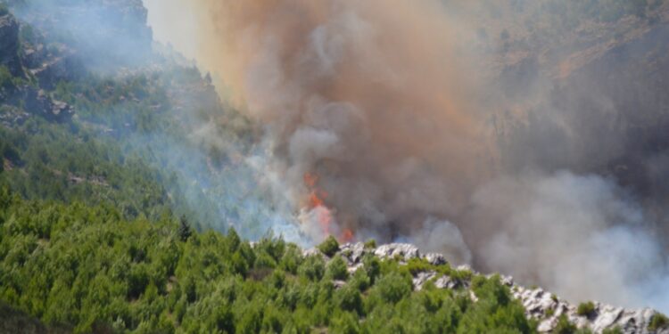 Fuego imparable: Solicitan medios aéreos por el incendio en las sierras