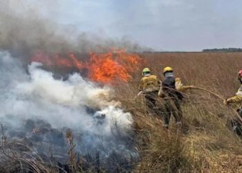 El incendio en un portal de los Esteros del Iberá lleva más de 50 días y arrasó con 5 mil hectáreas