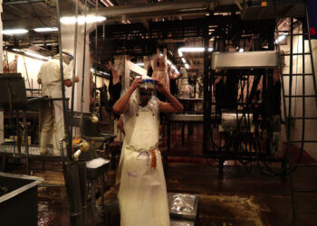 Allanan frigoríficos de Berazategui por las muertes por consumo de carne contaminada