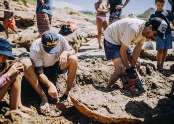 Una niña de 9 años encontró los restos de dos gliptodontes de casi 3 millones de años