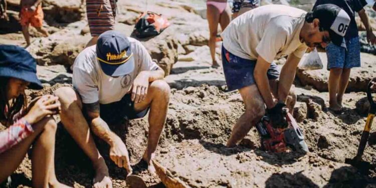 Una niña de 9 años encontró los restos de dos gliptodontes de casi 3 millones de años