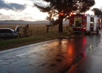 Saldungaray: Por esquivar un ternero se despistó un automóvil.