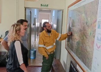 Autoridades recorrieron la zona afectada por el incendio en el Parque Provincial E. Tornquist