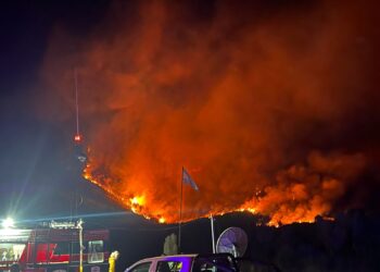 Continúan las tareas para sofocar el incendio forestal