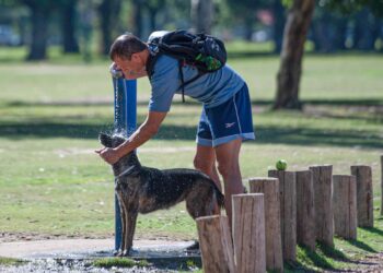 Buenos Aires es la provincia más afectada por el calor, con casi 40 grados en Bahía Blanca