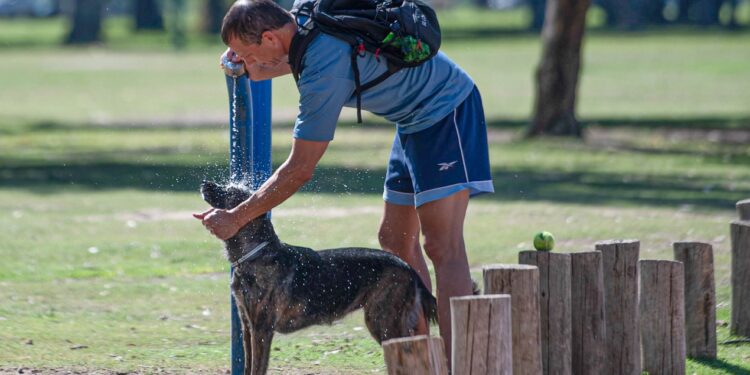 Buenos Aires es la provincia más afectada por el calor, con casi 40 grados en Bahía Blanca