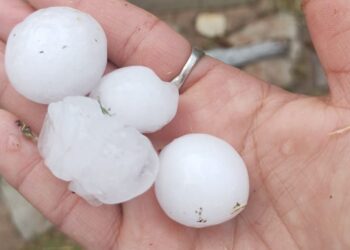 Tornquist: tuvo una granizada de gran tamaño.