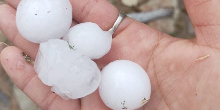 Tornquist: tuvo una granizada de gran tamaño.