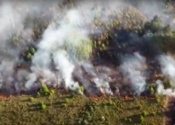 Incendio en el Parque: así está la situación