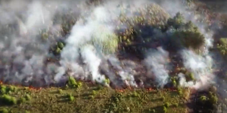 Incendio en el Parque: así está la situación
