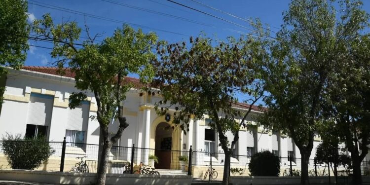 Especialista habló sobre bullying: “Nunca la exclusión puede ser la solución”