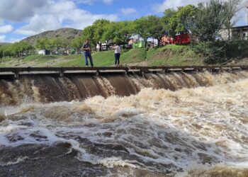 Desbordan los arroyos y el río Sauce Grande en toda la comarca.