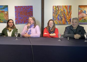 Silvia Zaballa: “Toda nuestra región tiene su área de género creada”