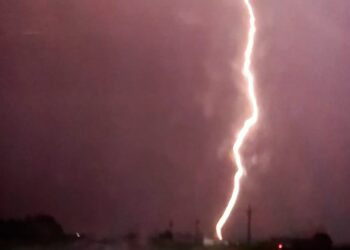 Tornquist: Un fenomenal rayo inició un incendio en el parque apícola