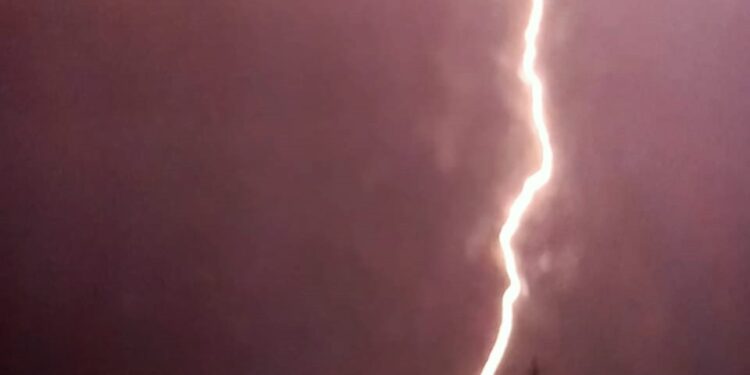 Tornquist: Un fenomenal rayo inició un incendio en el parque apícola