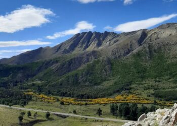Gustavo Sandobal: “Ya tenemos un 50% de ocupación”