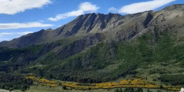 Gustavo Sandobal: “Ya tenemos un 50% de ocupación”