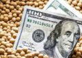 Gobierno pone en vigencia nuevamente dólar diferencial para la soja y suma a economías regionales