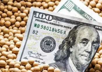 Gobierno pone en vigencia nuevamente dólar diferencial para la soja y suma a economías regionales