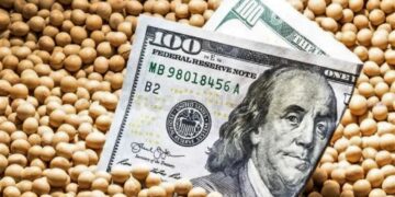 Gobierno pone en vigencia nuevamente dólar diferencial para la soja y suma a economías regionales