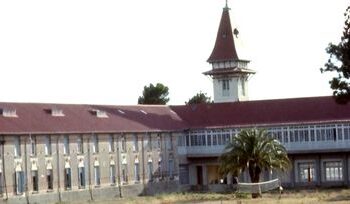 El Senado convirtió en ley un proyecto que declara de interés público la formación de la enfermería