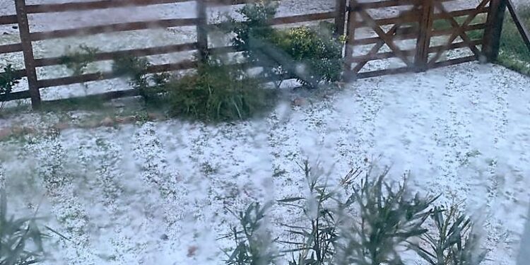 Granizada matinal cubrió de blanco a la comarca