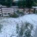Granizada matinal cubrió de blanco a la comarca