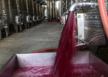 El Malbec conforma el 75% de los varietales exportados a granel