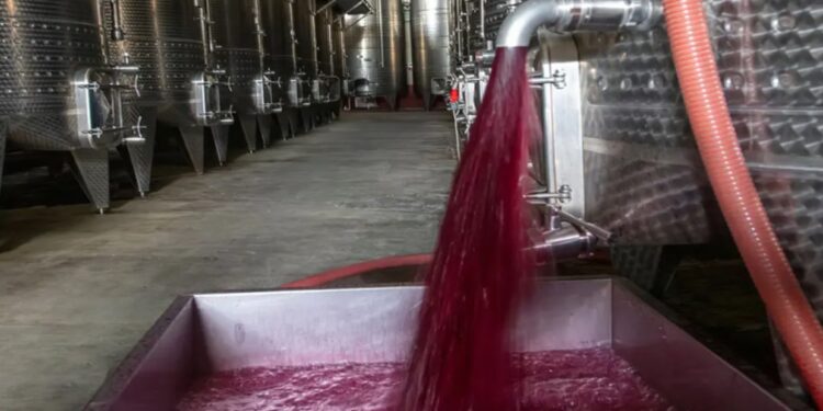 El Malbec conforma el 75% de los varietales exportados a granel