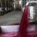 El Malbec conforma el 75% de los varietales exportados a granel
