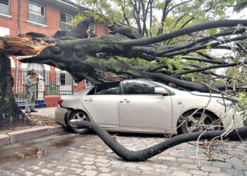 Unos 60 vuelos afectados, calles anegadas y caída de árboles por tormentas en el AMBA