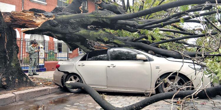 Unos 60 vuelos afectados, calles anegadas y caída de árboles por tormentas en el AMBA