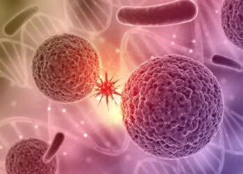 Cómo funciona el algoritmo de IA diseñado por Harvard que puede predecir cáncer de páncreas hasta 3 años antes de los síntomas